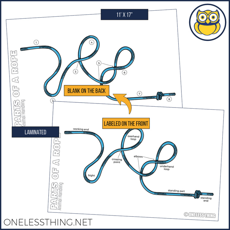 Load image into Gallery viewer, Animal Science Skills Posters, Set of 3