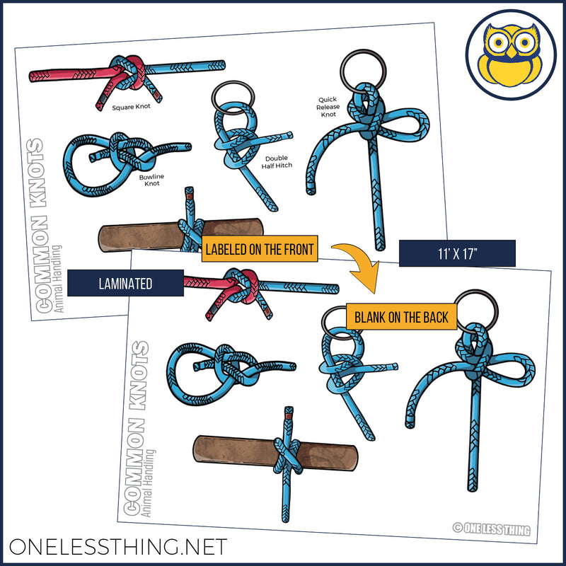 Load image into Gallery viewer, Animal Science Skills Posters, Set of 3