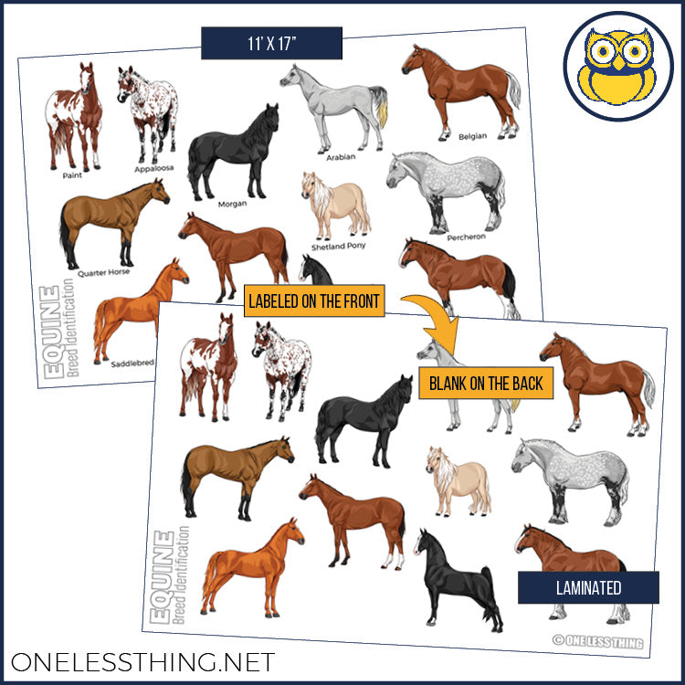 Load image into Gallery viewer, Livestock Breeds Posters, Set of 7