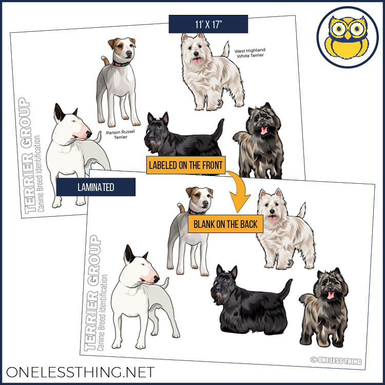 Load image into Gallery viewer, Small Animal Breeds Posters, Set of 12