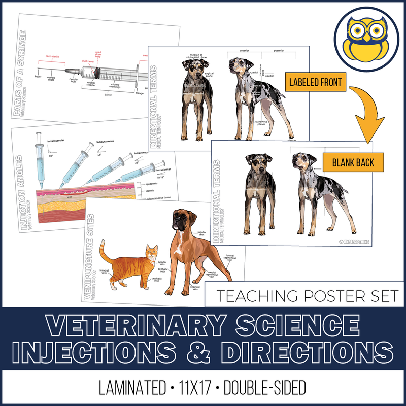 Load image into Gallery viewer, Vet Science Injections and Directions Posters, Set of 4