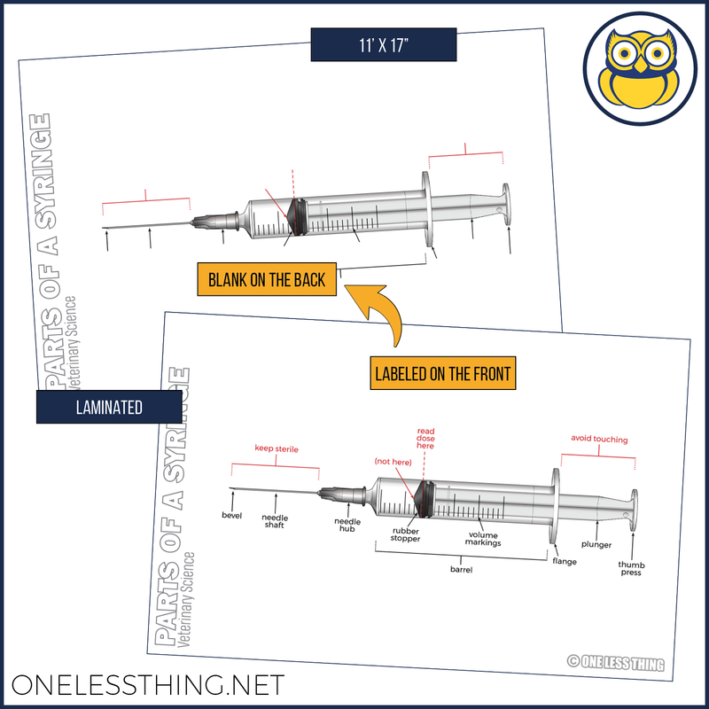 Load image into Gallery viewer, Vet Science Injections and Directions Posters, Set of 4