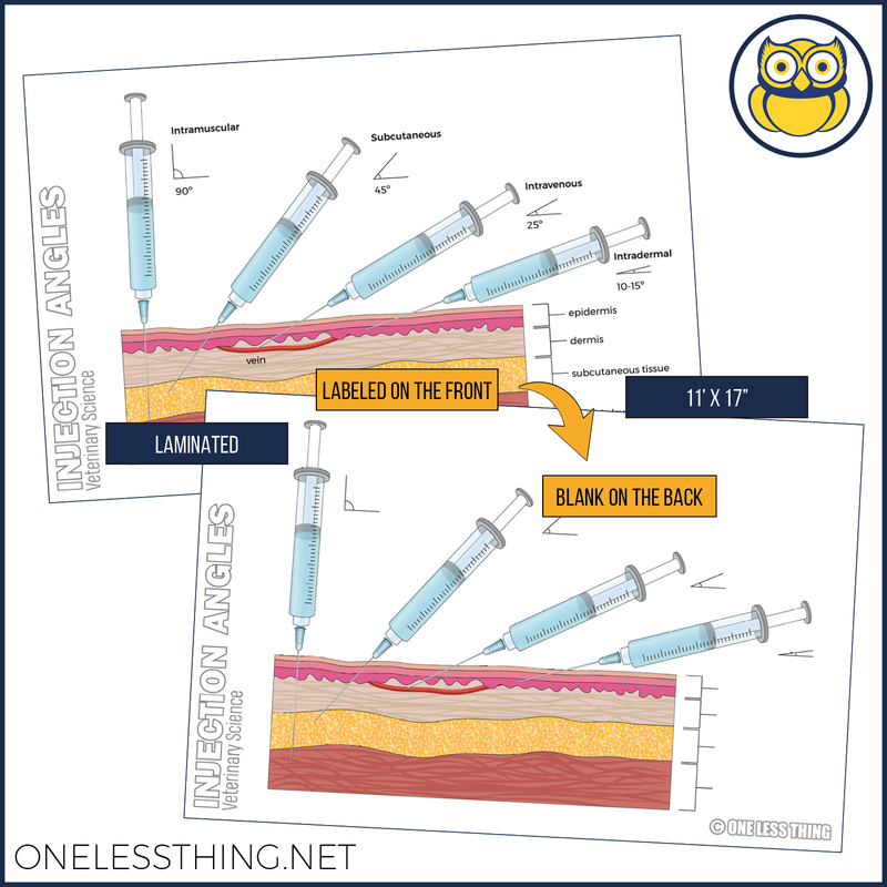 Load image into Gallery viewer, Vet Science Injections and Directions Posters, Set of 4