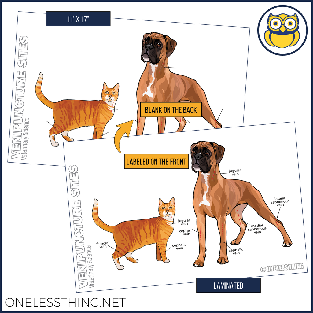 Vet Science Injections and Directions Posters, Set of 4
