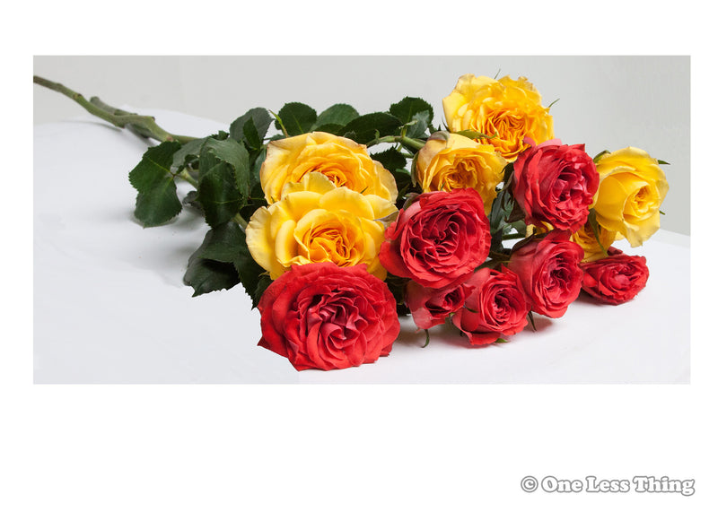 Load image into Gallery viewer, Floral Design ID Junior, IDPix Cards