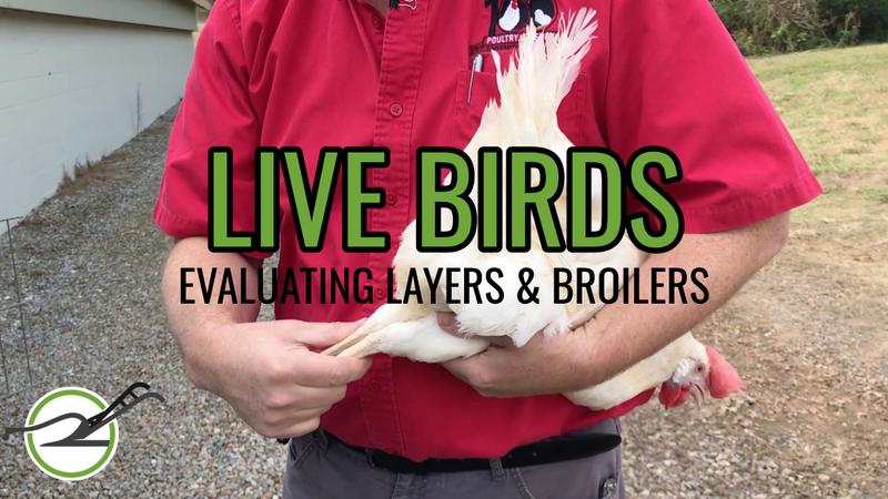 Load image into Gallery viewer, PLOW Two-Week Free Trial