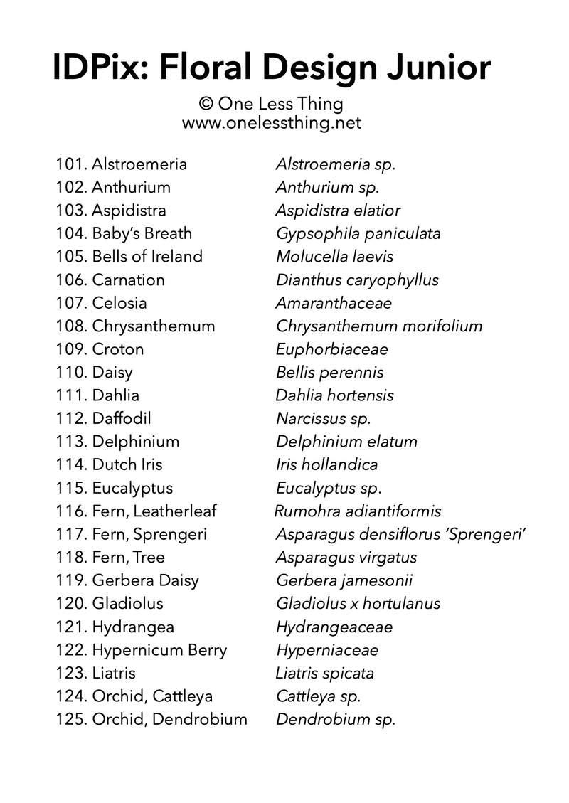Load image into Gallery viewer, Floral Design ID Junior, IDPix Cards