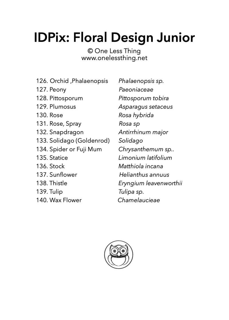 Load image into Gallery viewer, Floral Design ID Junior, IDPix Cards