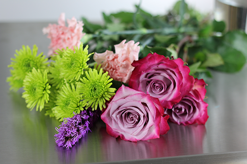 Load image into Gallery viewer, PLOW Video Tutorials, 1 Year Membership