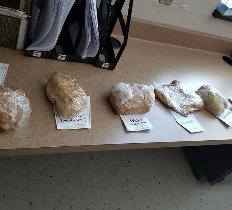 Scientific Method and Bread Baking – One Less Thing