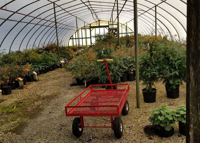 Greenhouse Plant Babysitting and 9 Ways to Say No by Saying Yes