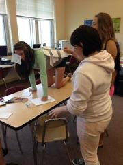 Interactive Ways to Teach Vet Directional Terminology