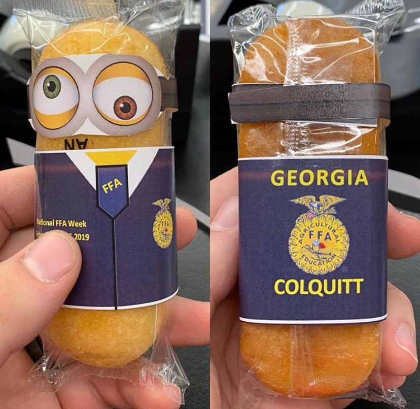 Let Minions Do Your Work For You During FFA Week