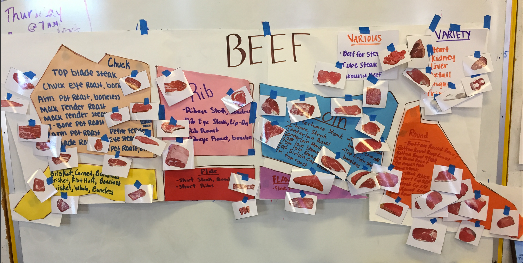Meats Judging Activity and Bulletin Board