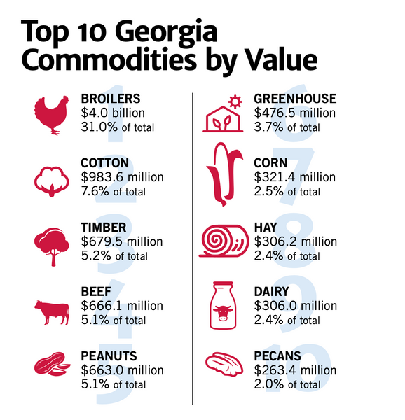 Top 10 Georgia Commodities 2021 (link at bottom for All 50 States)