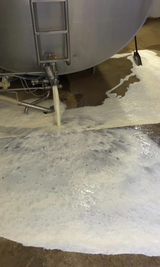 Ag Ed Lesson: Dairy Science, Milk, and Antibiotics