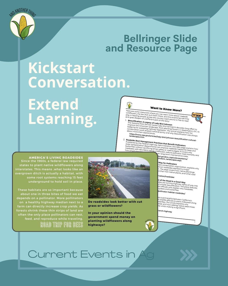 Load image into Gallery viewer, And Another Thing CURRENT EVENTS, Roadside Flowers (WEEKLY)
