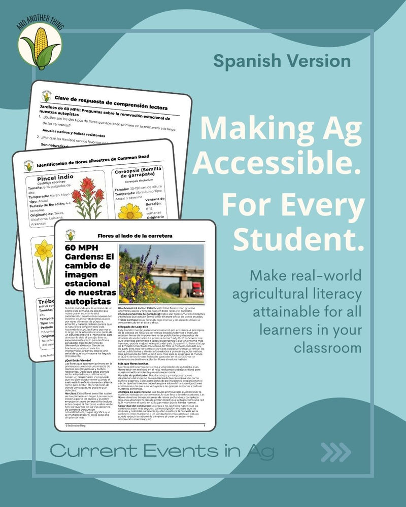 Load image into Gallery viewer, And Another Thing CURRENT EVENTS, Roadside Flowers (WEEKLY)
