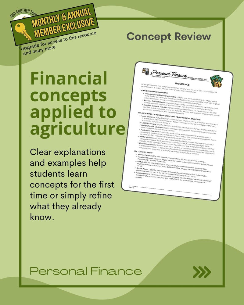 Load image into Gallery viewer, And Another Thing MATH APPLICATION, Personal Finance INSURANCE (ANNUAL)
