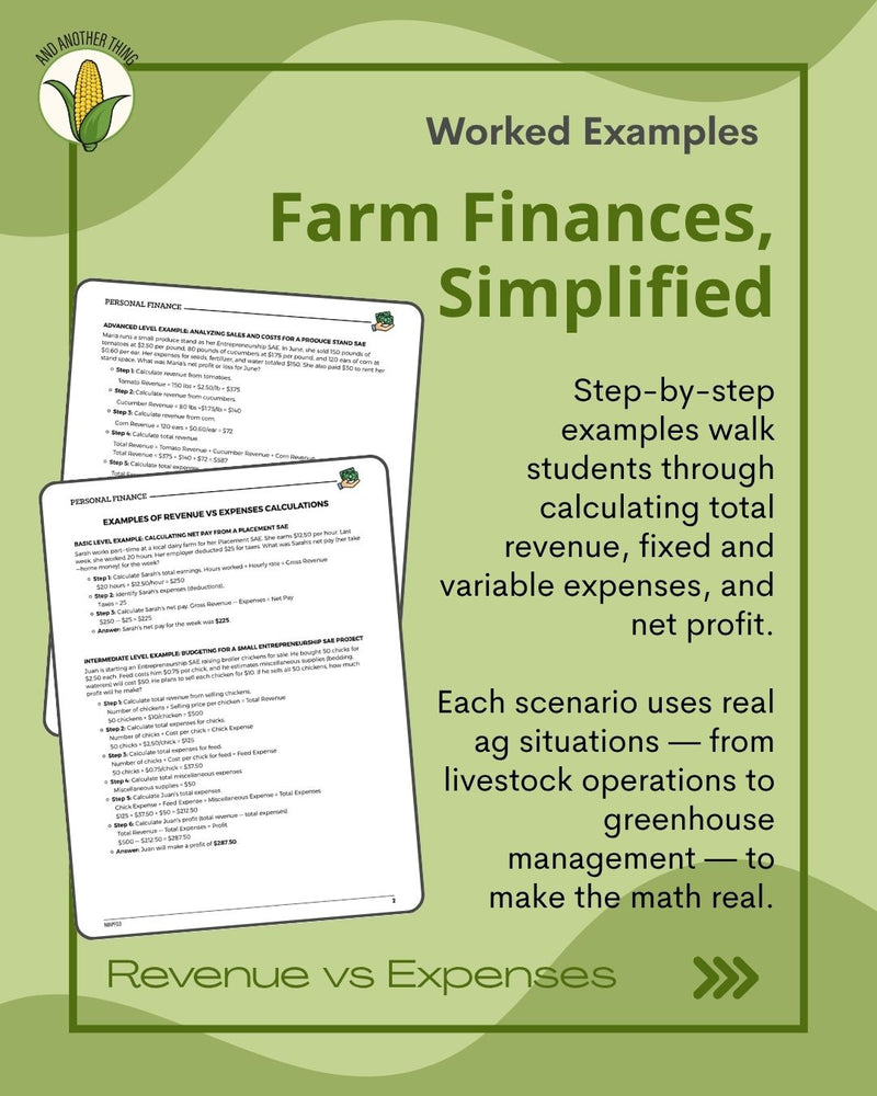 Load image into Gallery viewer, And Another Thing MATH APPLICATION, Personal Finance REVENUE VS EXPENSES (ANNUAL)
