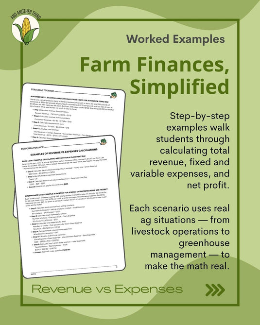 And Another Thing MATH APPLICATION, Personal Finance REVENUE VS EXPENSES (ANNUAL)