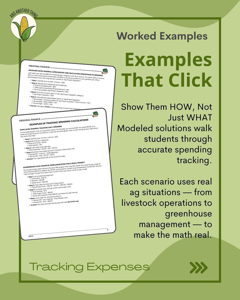 Load image into Gallery viewer, And Another Thing MATH APPLICATION, Personal Finance TRACKING SPENDING (ANNUAL)
