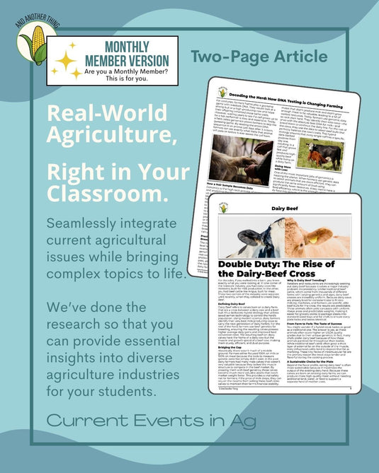 And Another Thing CURRENT EVENTS, Dairy Beef (MONTHLY)