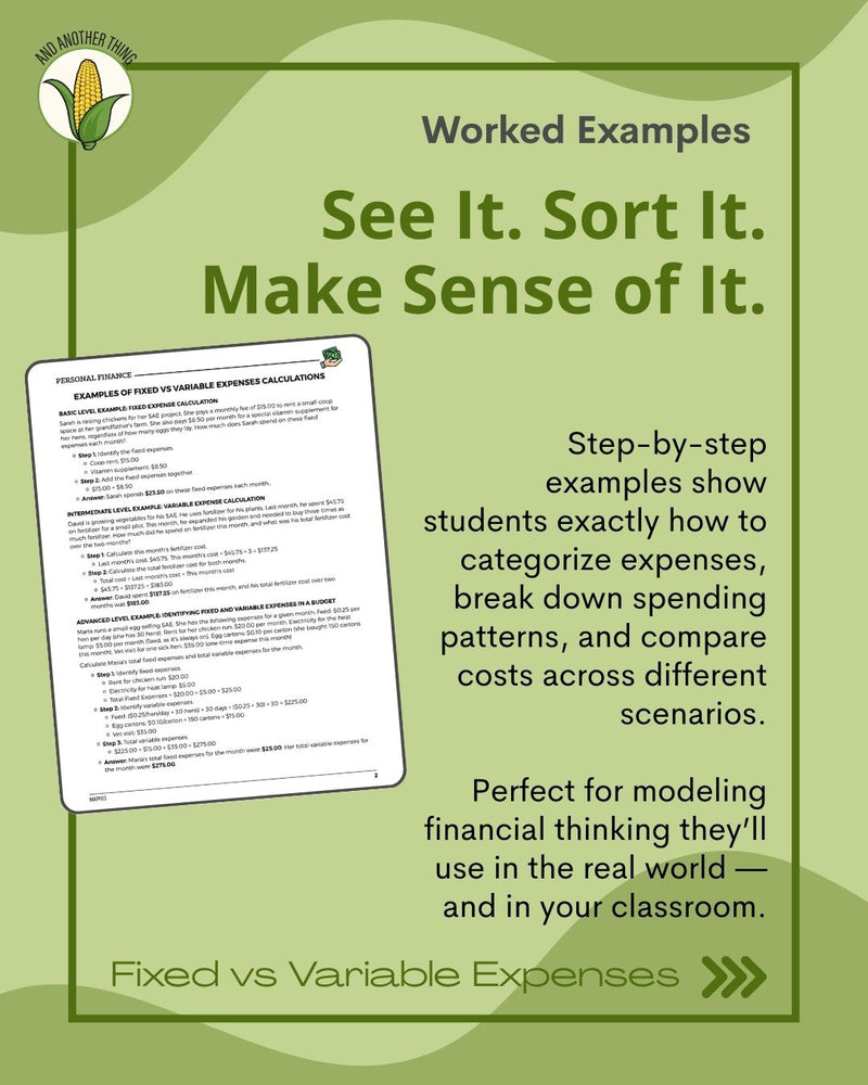Load image into Gallery viewer, And Another Thing MATH APPLICATION, Personal Finance EXPENSES (ANNUAL)
