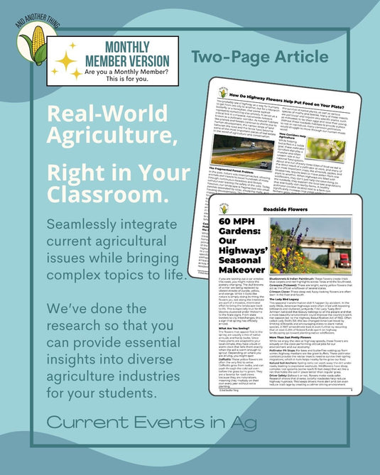 And Another Thing CURRENT EVENTS, Roadside Flowers (MONTHLY)