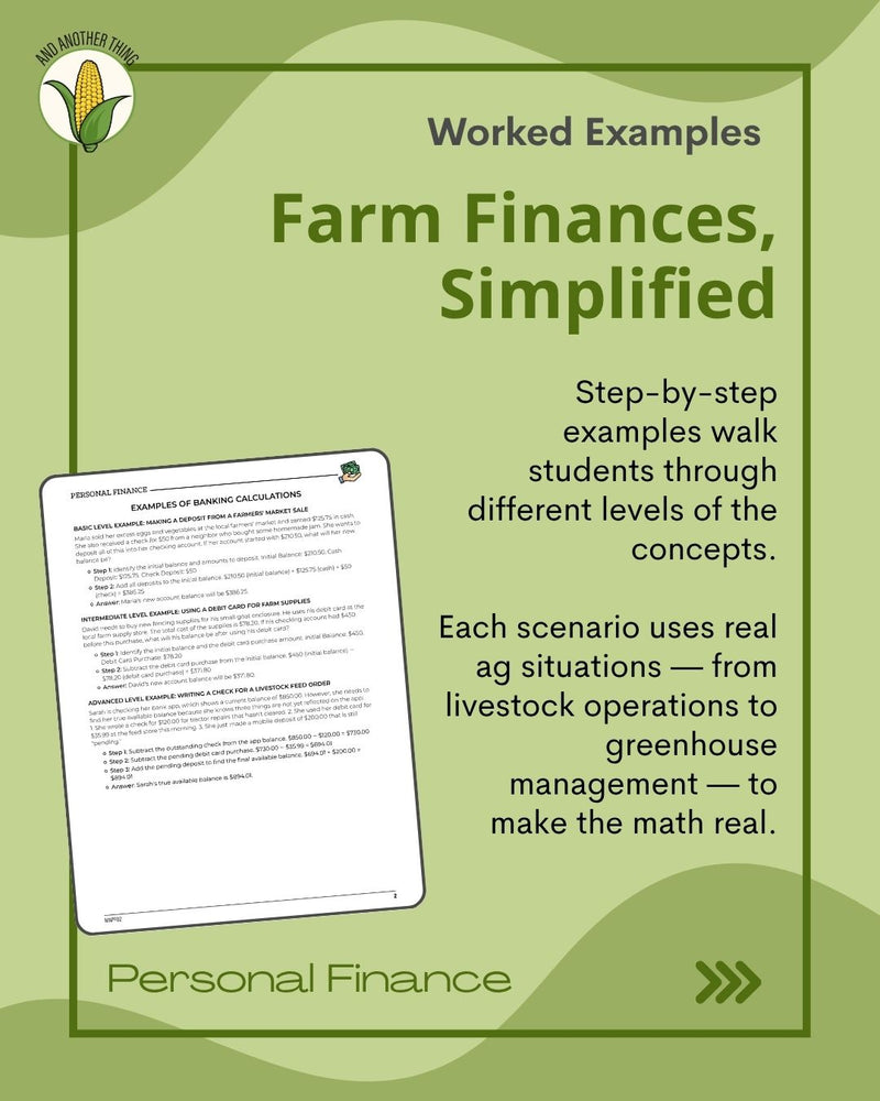 Load image into Gallery viewer, And Another Thing MATH APPLICATION, Personal Finance BANKING BASICS (ANNUAL)
