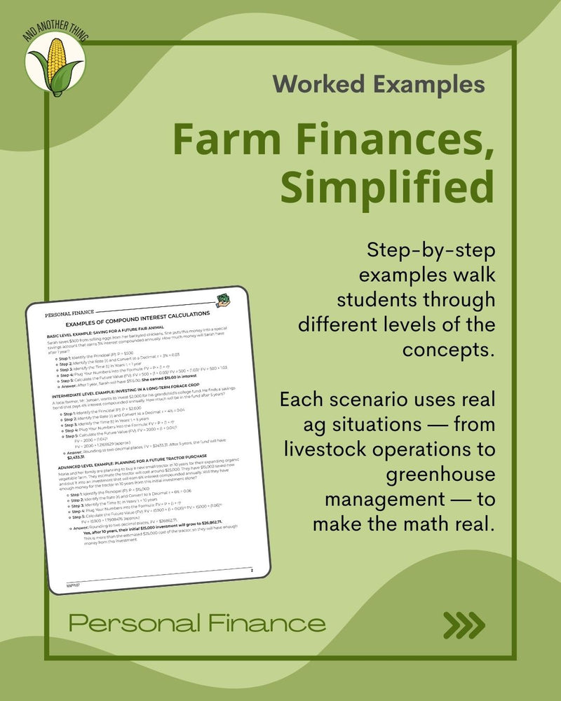 Load image into Gallery viewer, And Another Thing MATH APPLICATION, Personal Finance COMPOUND INTEREST (ANNUAL)
