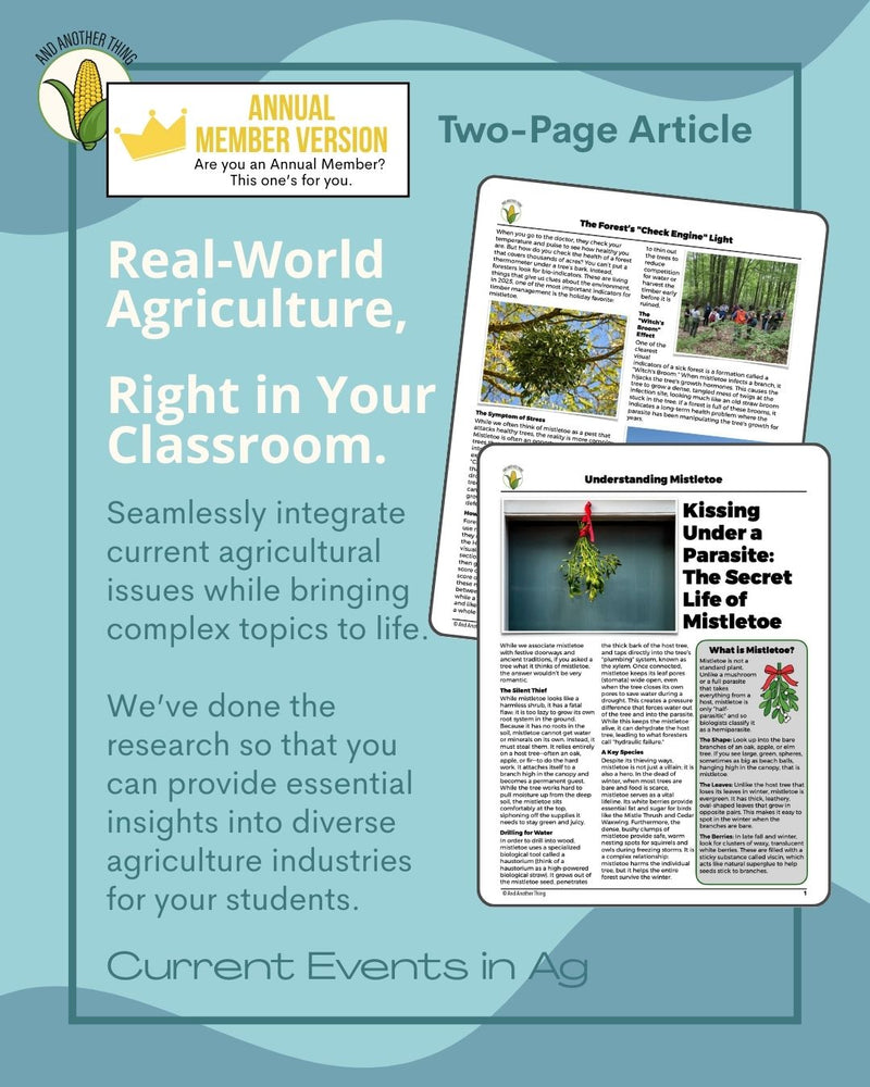 Load image into Gallery viewer, And Another Thing CURRENT EVENTS, Mistletoe (ANNUAL)
