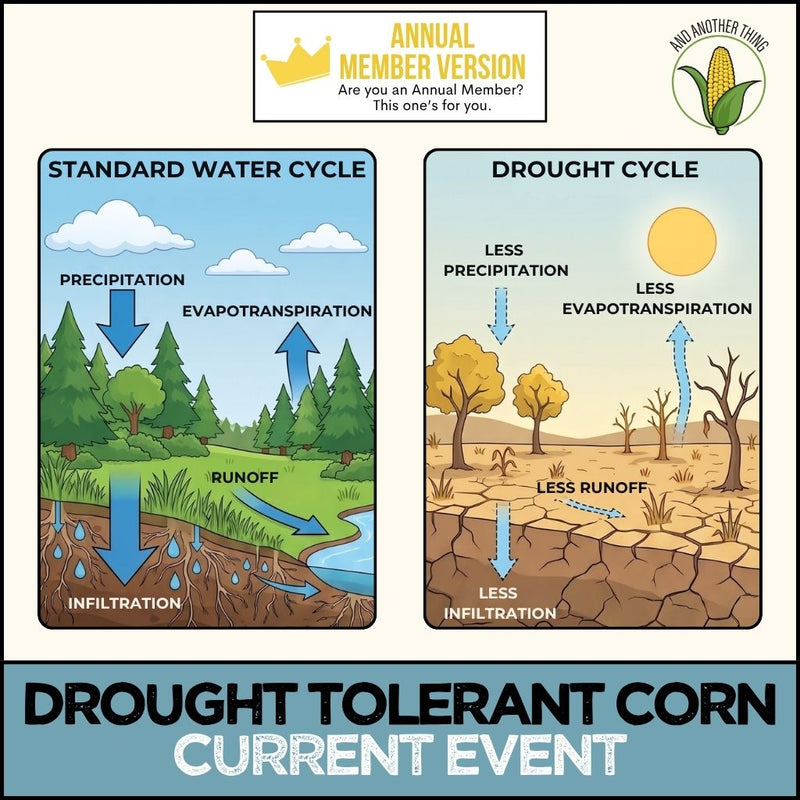 Load image into Gallery viewer, And Another Thing CURRENT EVENTS, Drought Tolerant Corn (ANNUAL)
