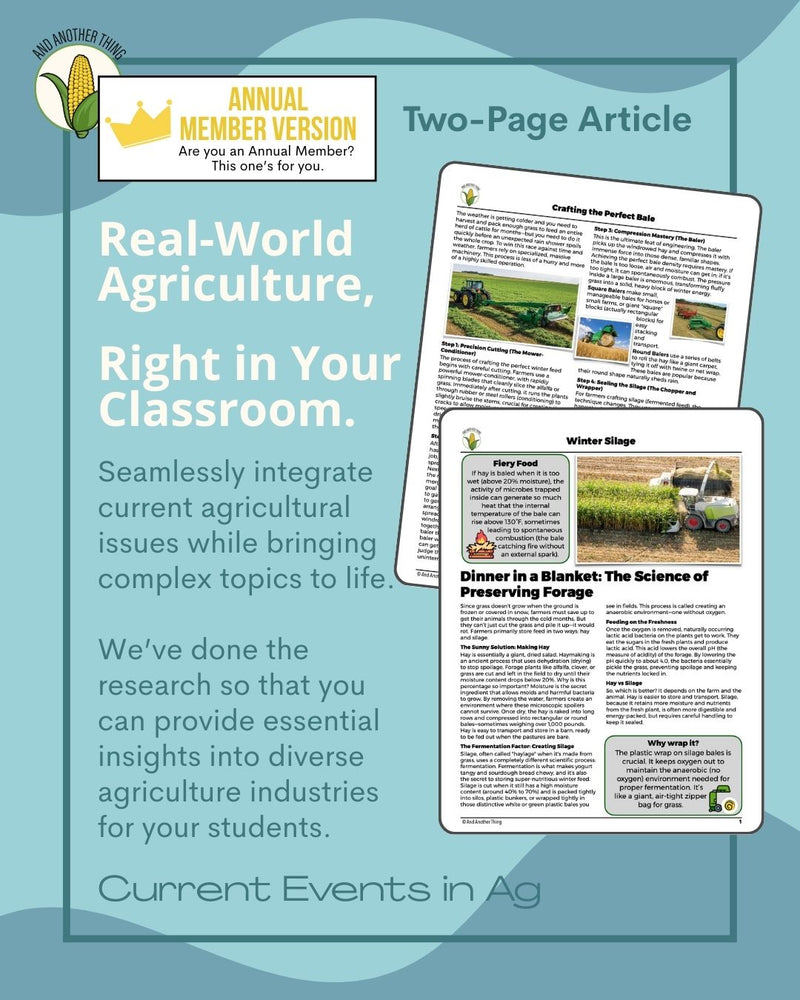 Load image into Gallery viewer, And Another Thing CURRENT EVENTS, Winter Silage (ANNUAL)
