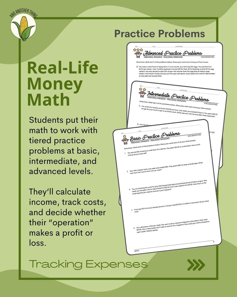 Load image into Gallery viewer, And Another Thing MATH APPLICATION, Personal Finance TRACKING SPENDING (ANNUAL)
