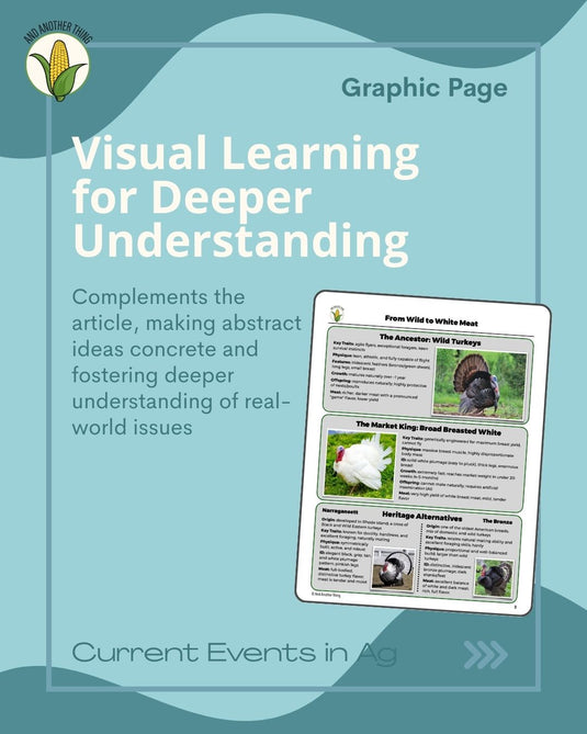 And Another Thing CURRENT EVENTS, Turkey Shortage (ANNUAL)