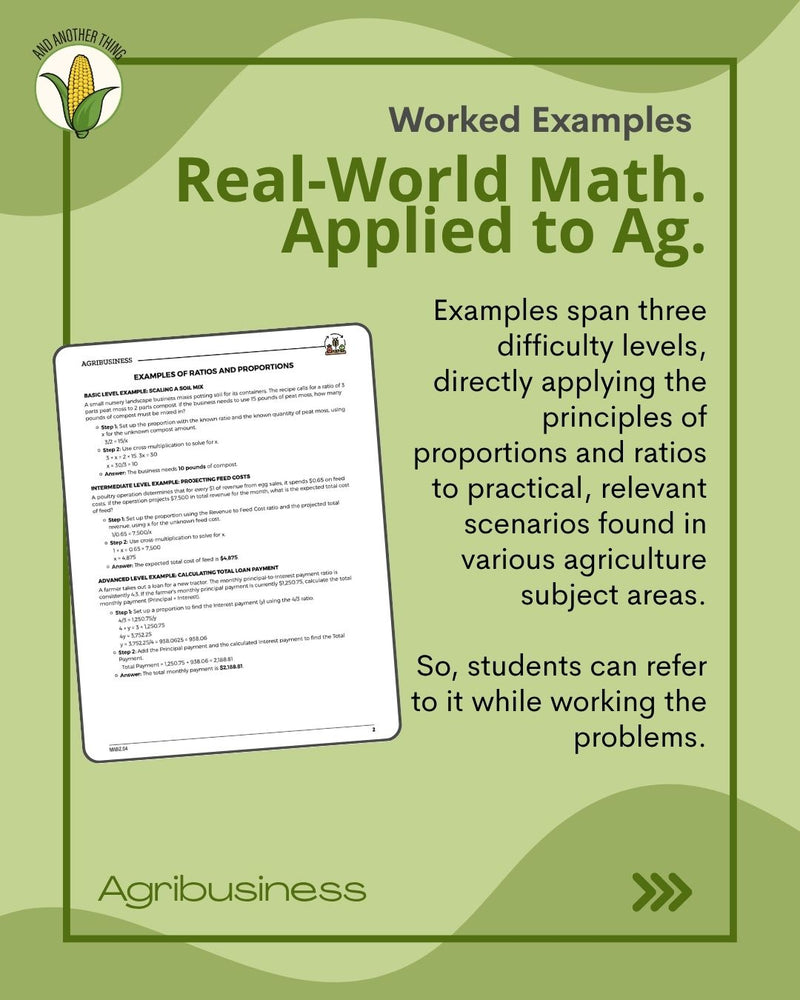 Load image into Gallery viewer, And Another Thing MATH APPLICATION, Agribusiness RATIOS (ANNUAL)
