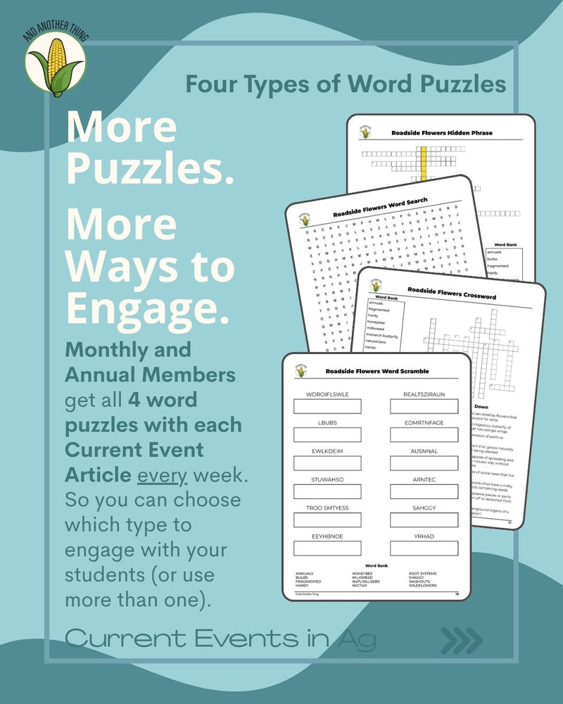 Load image into Gallery viewer, And Another Thing CURRENT EVENTS, Roadside Flowers (MONTHLY)
