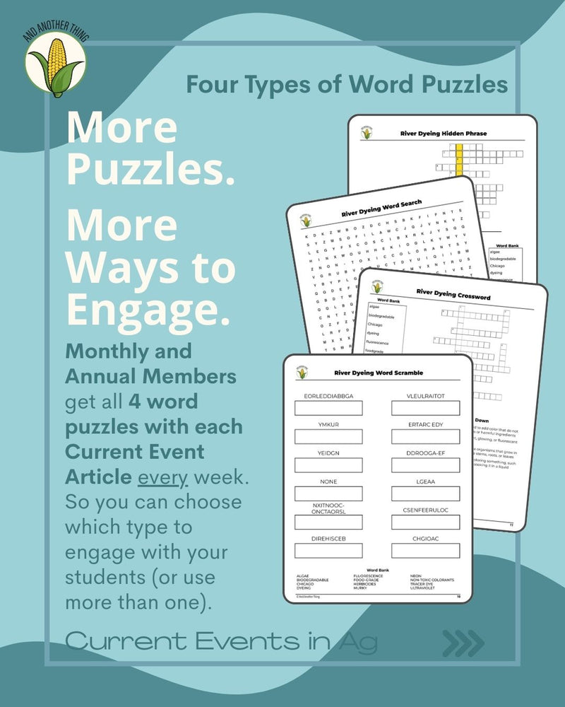 Load image into Gallery viewer, And Another Thing CURRENT EVENTS, River Dyeing (MONTHLY)
