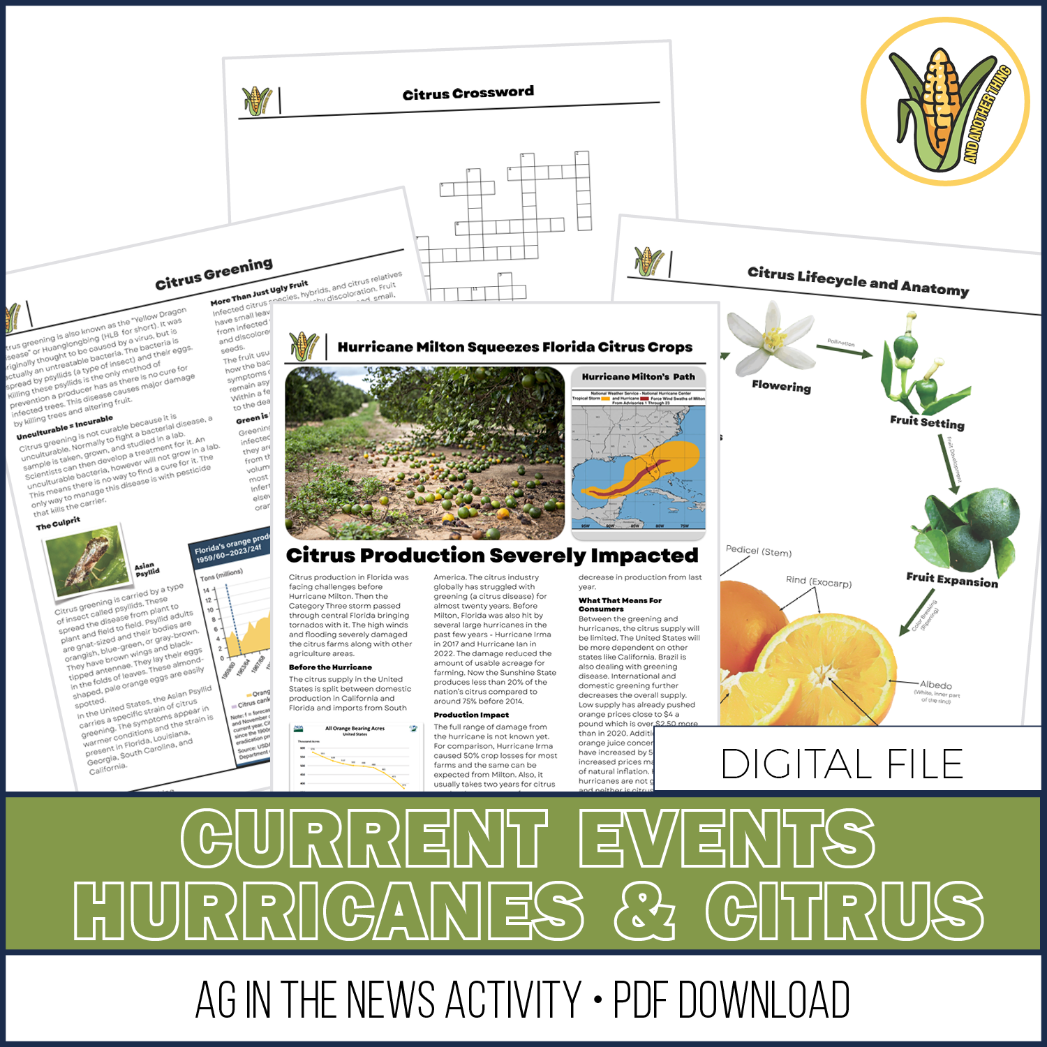 And Another Thing CURRENT EVENTS, Hurricane Milton and Citrus 