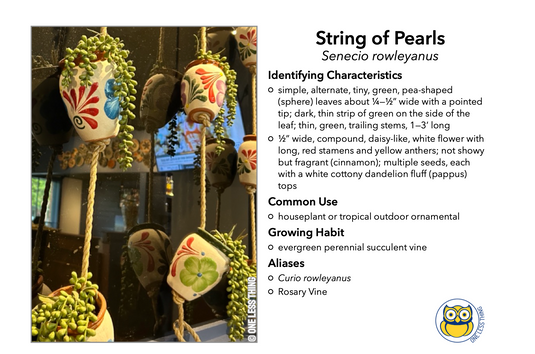 National Floriculture CDE Plant ID , IDPix Cards