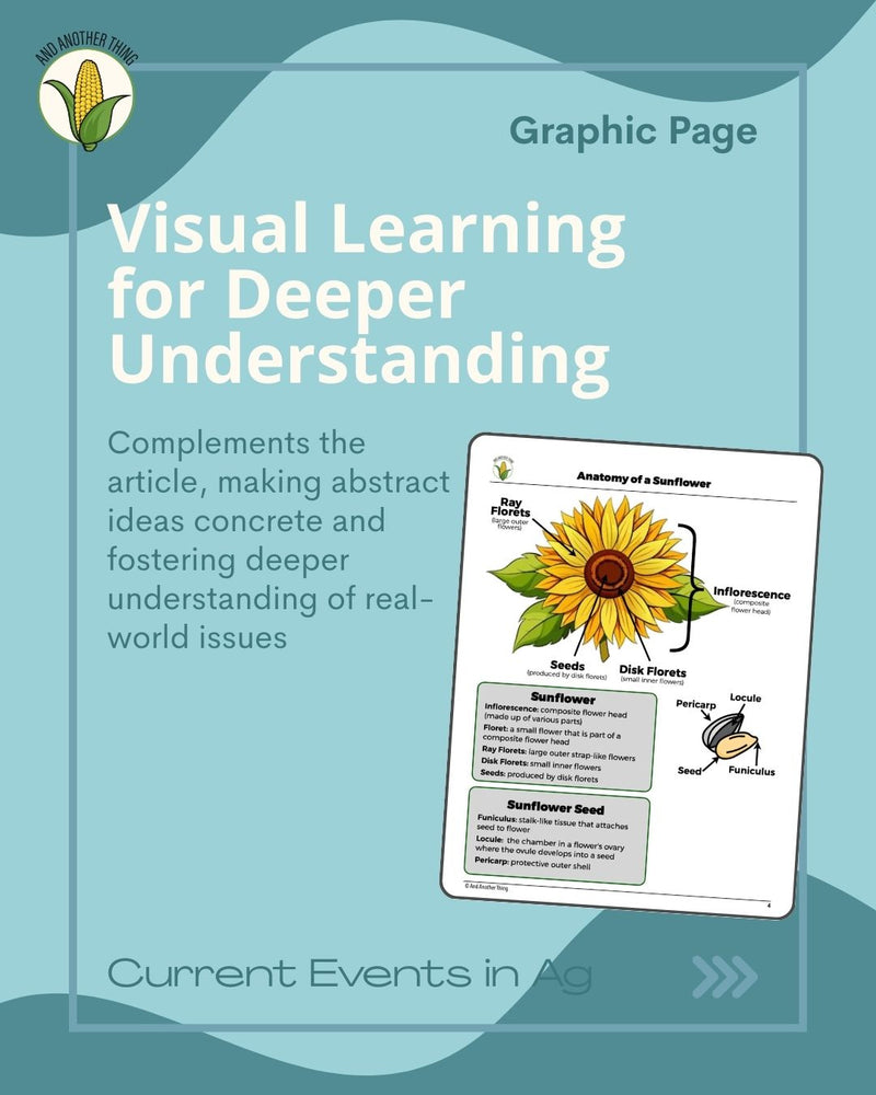 Load image into Gallery viewer, And Another Thing CURRENT EVENTS, Sunflowers (MONTHLY)

