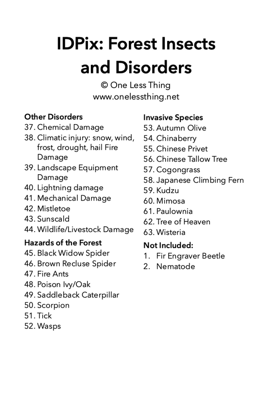 Forestry Insects and Disorders ID, IDPix Cards