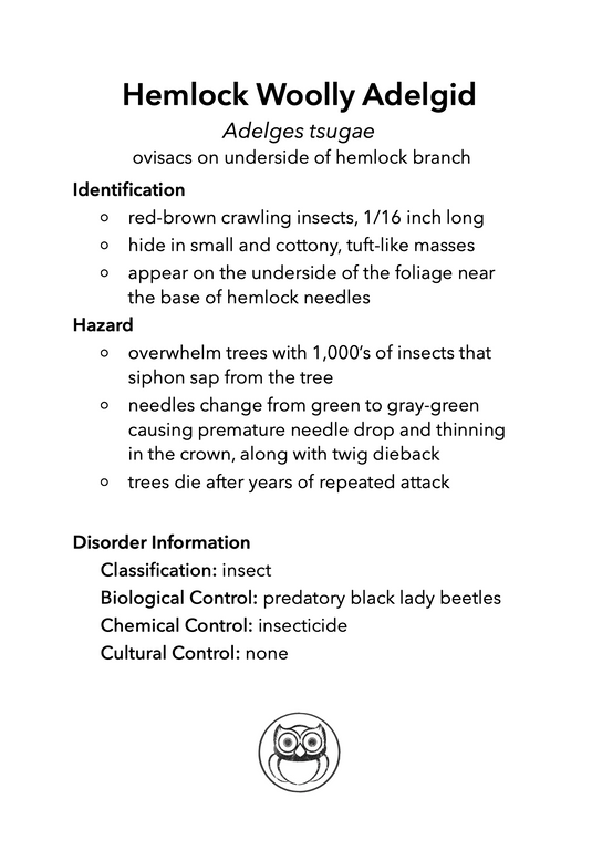 Forestry Insects and Disorders ID, IDPix Cards