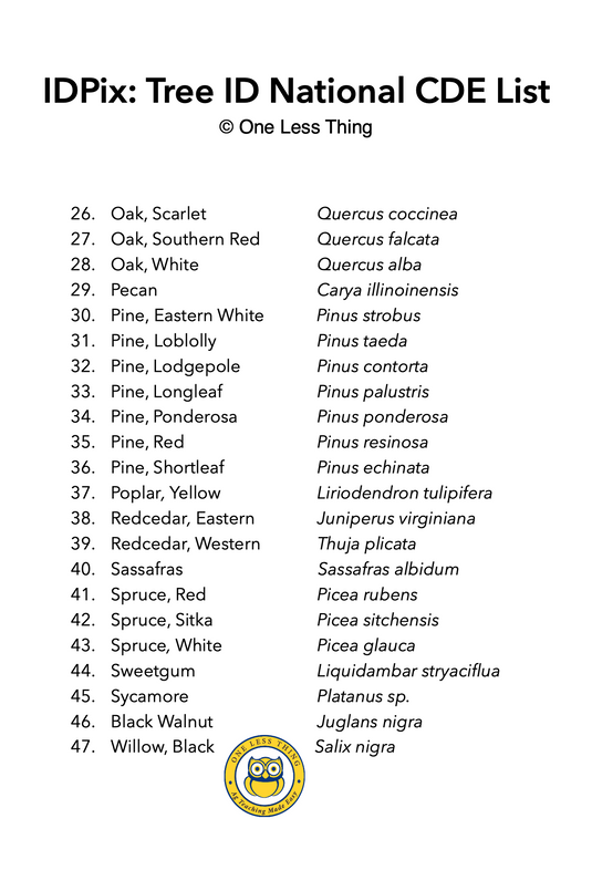 Tree Id Code National Forestry Tree ID, PowerPoint Downloads – One Less Thing