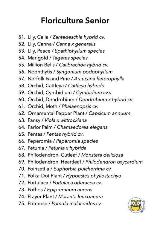 Floriculture ID Senior, IDPix Cards