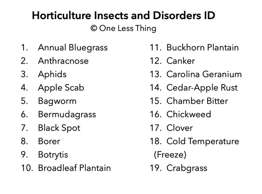 Horticulture Disorders ID, IDPix Cards