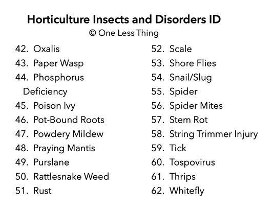 Horticulture Disorders ID, IDPix Cards