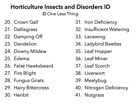 Horticulture Disorders ID, IDPix Cards