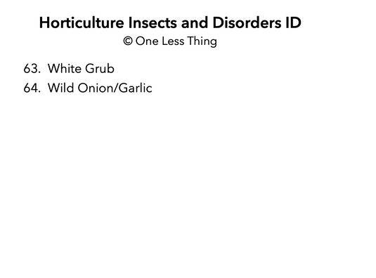 Horticulture Disorders ID, IDPix Cards